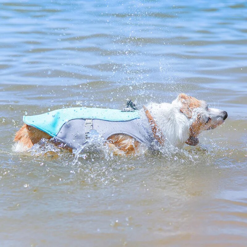 Dog Cooling Vest