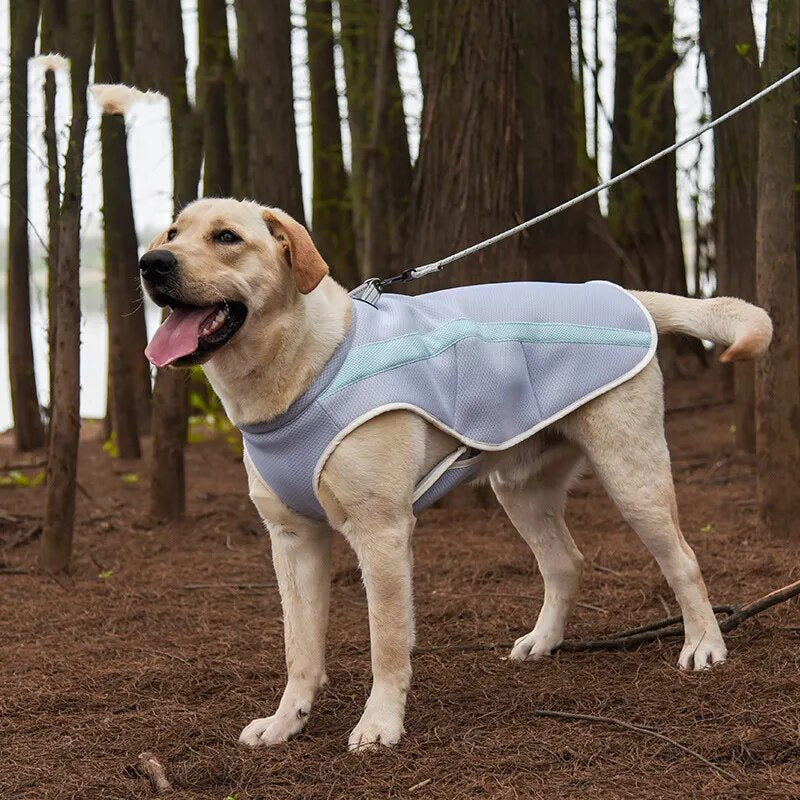 Dog Cooling Vest