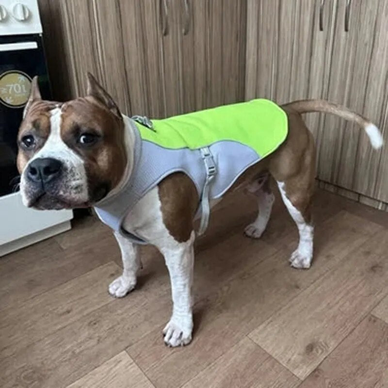 Dog Cooling Vest