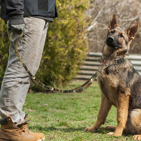 Durable Military Style Tactical Dog Collar Leash Set Dog Nation