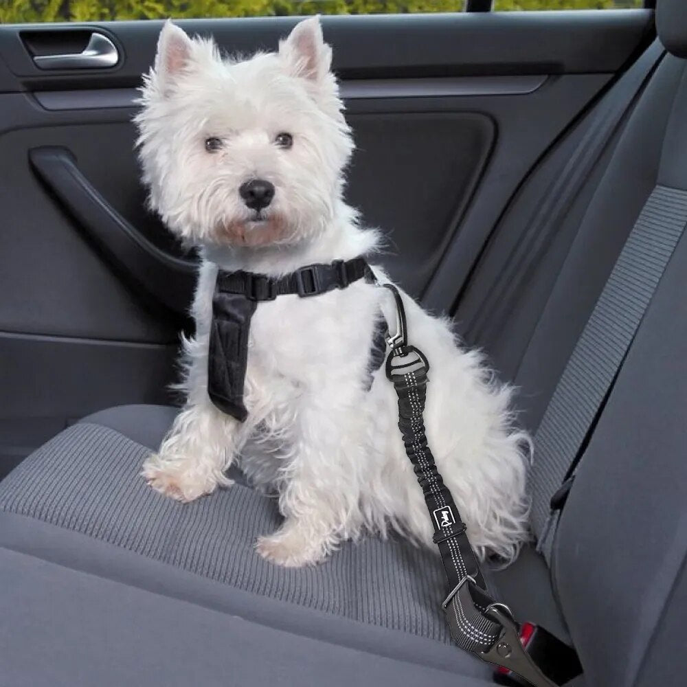 Dog Car Seat Belt With Shock Absorber