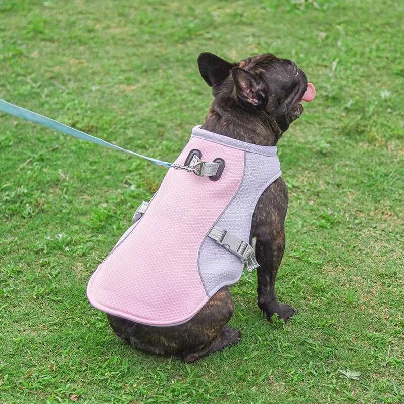 Dog Cooling  Vest