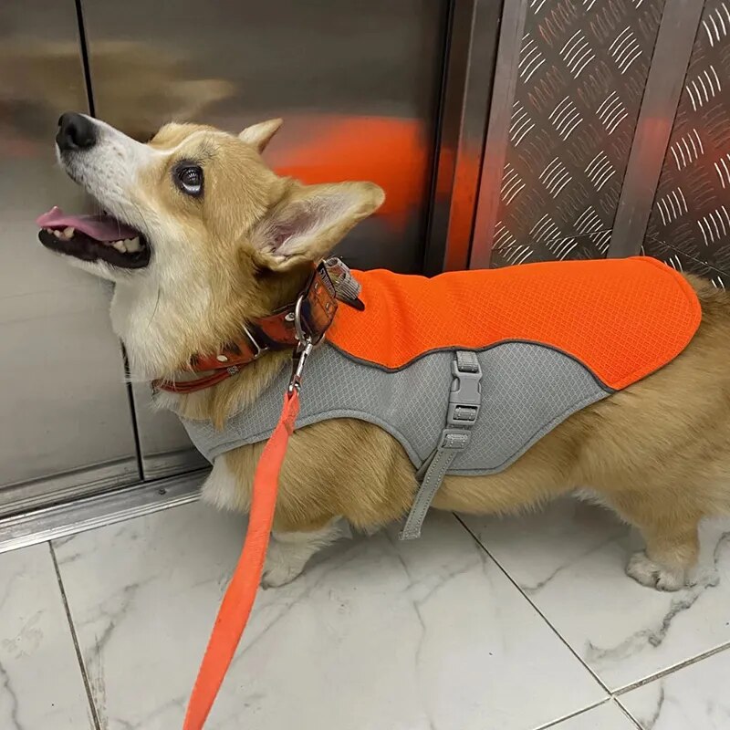 Dog Cooling Vest