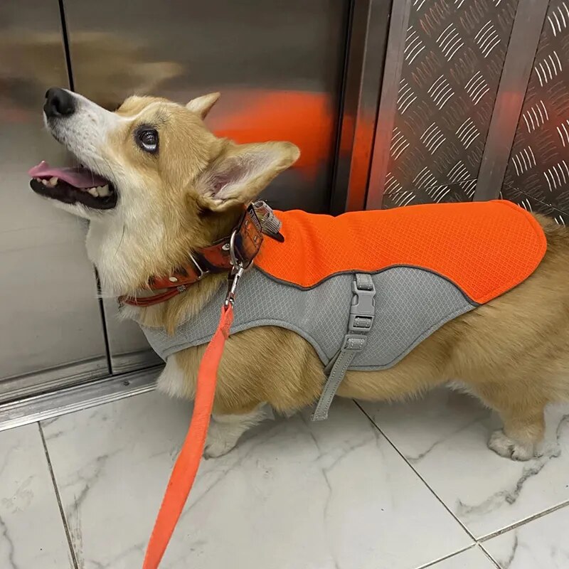 Dog Cooling  Vest