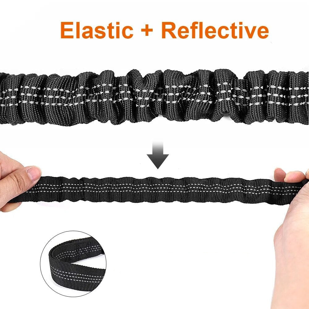 Dog Car Seat Belt With Shock Absorber