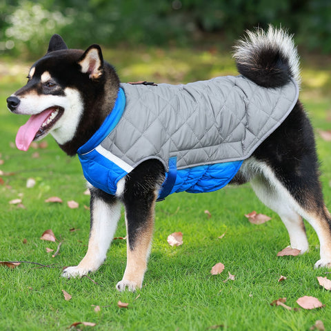 Winter Dog Jacket Warm and Lightweight Dog Nation