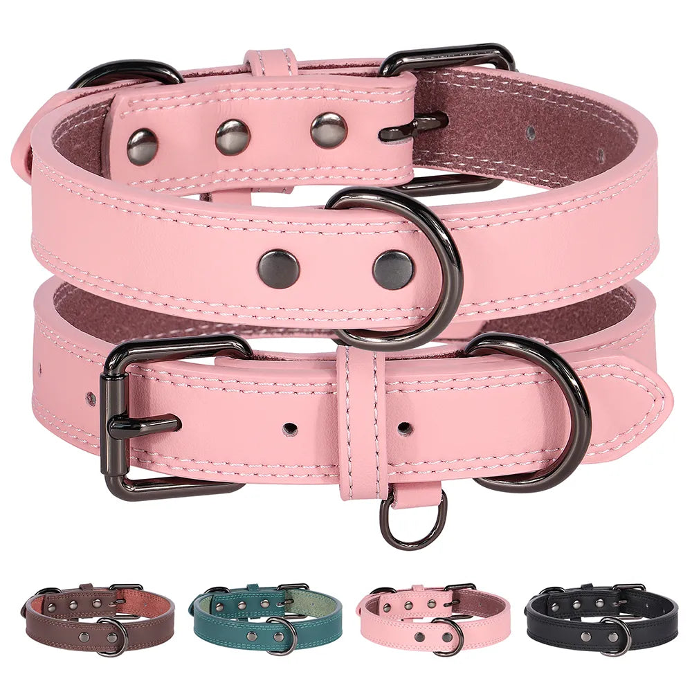 Taurus Genuine Leather Dog Collar Dog Nation