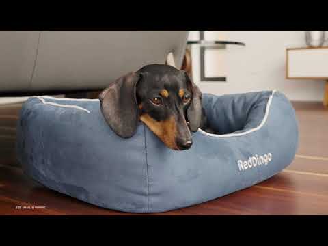 Premium Mattress Dog Bed