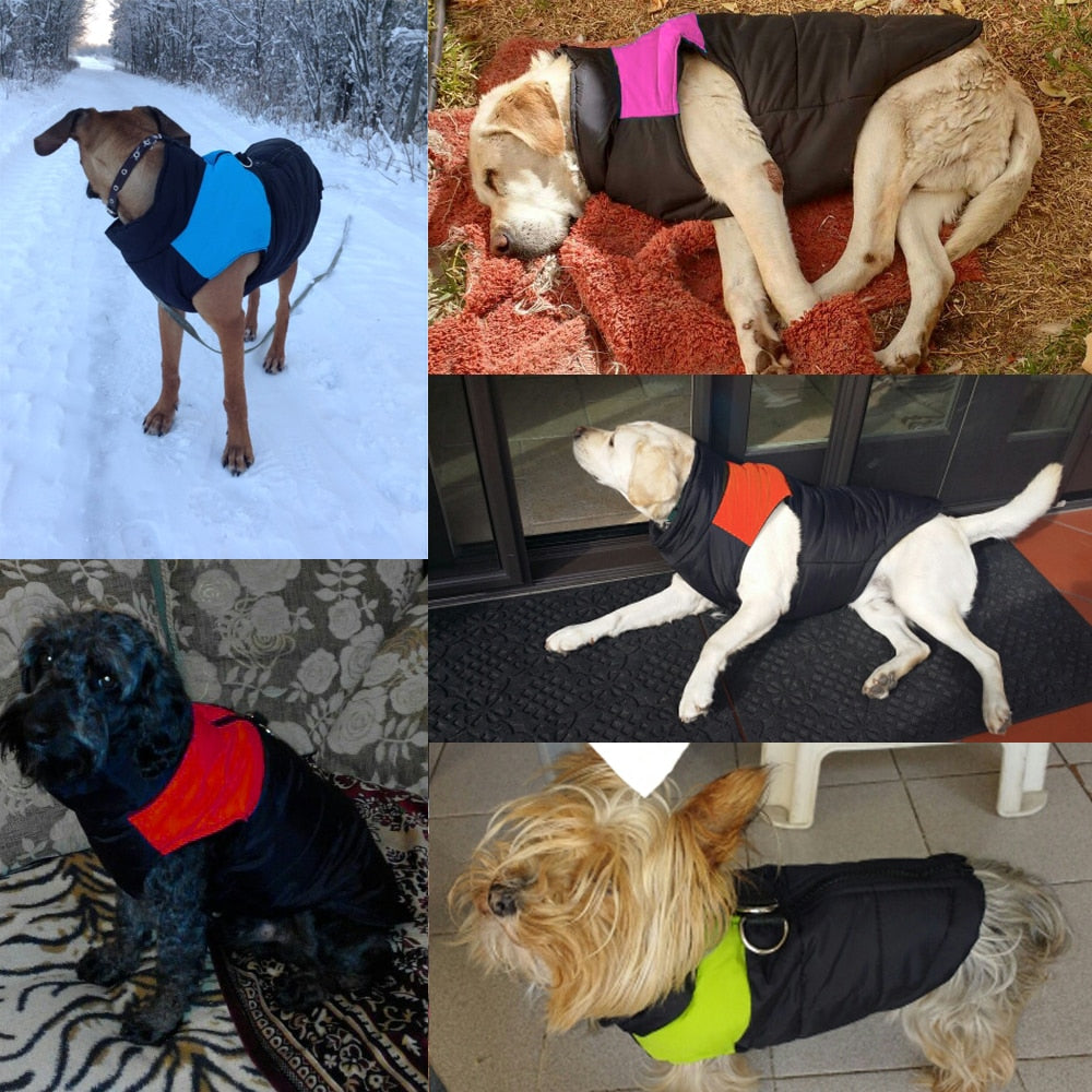 Waterproof Dog Jacket Dog Nation