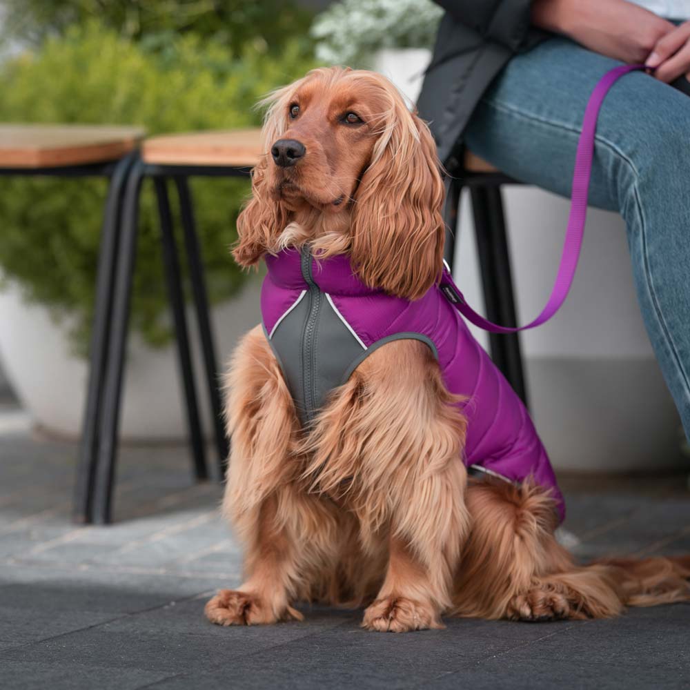 Dog Puffer Jacket Dog Nation