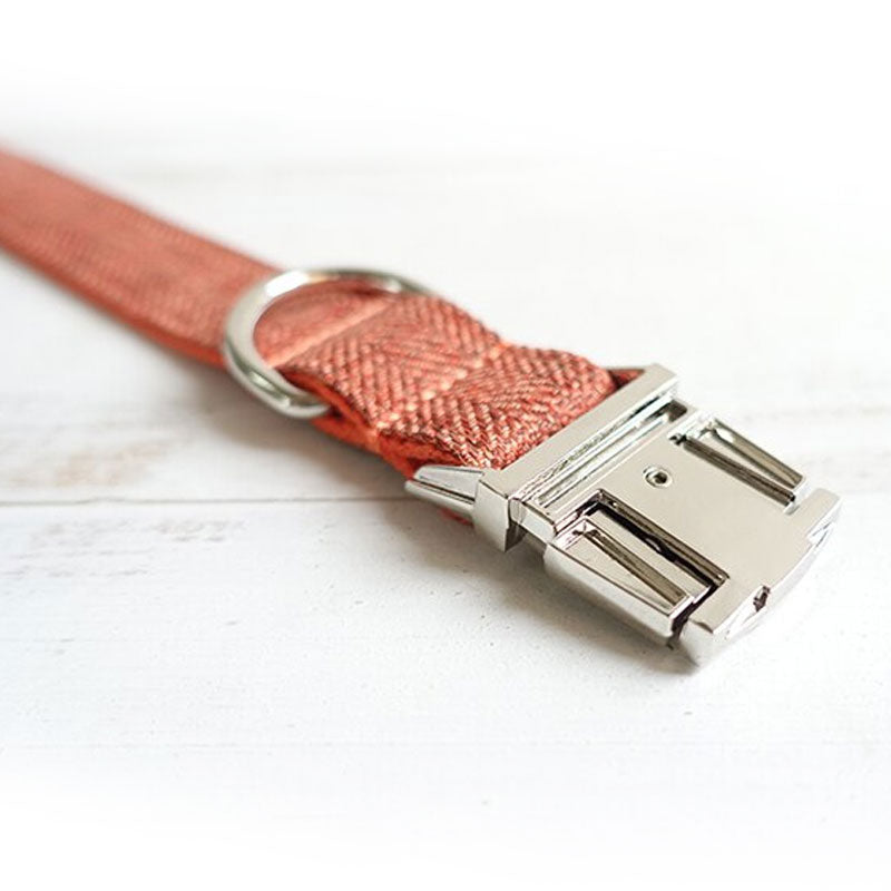 The Orange Suit Personalised Dog Collar Dog Nation