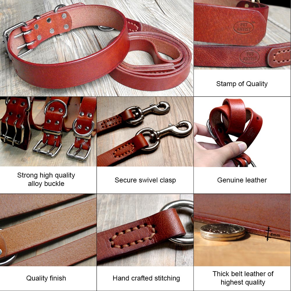 Theo Heavy Duty Genuine Leather Dog Collar Leash Set Dog Nation