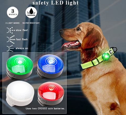 Safety LED Light for Dog Collar or Harness Water Resistant Dog Nation