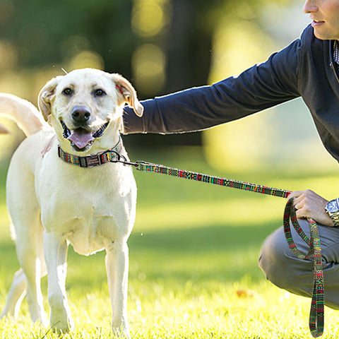 Alpha Personalised Bohemian Nylon Dog Collar & Leash Set Dog Nation
