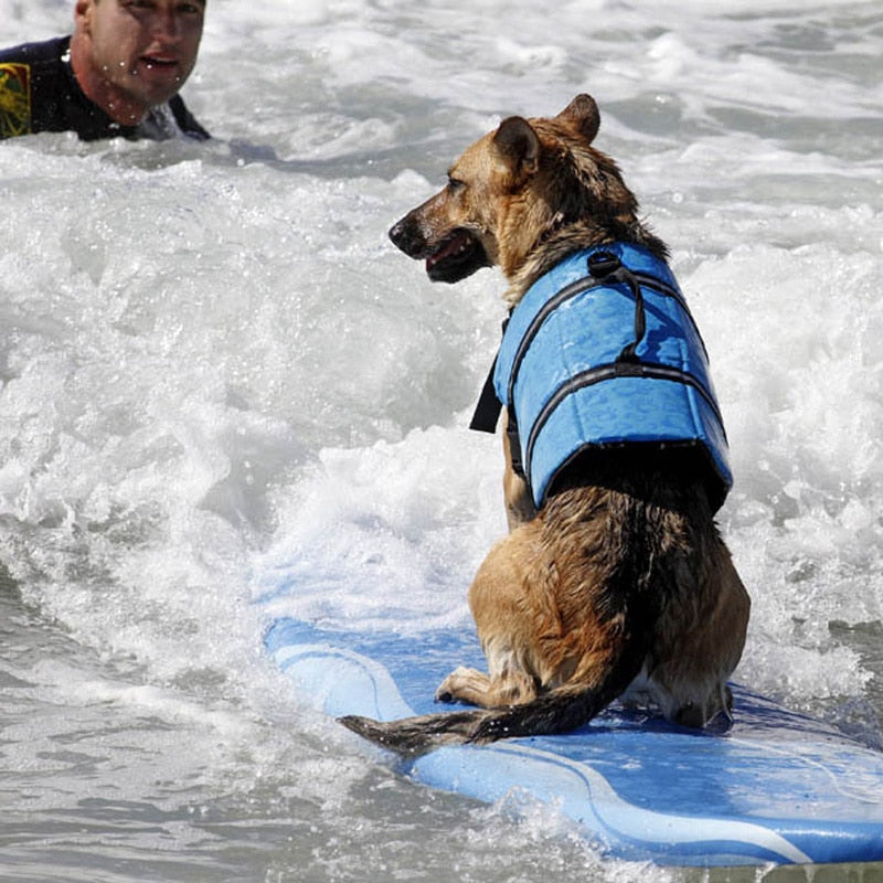 Life Jacket for Dogs Dog Nation