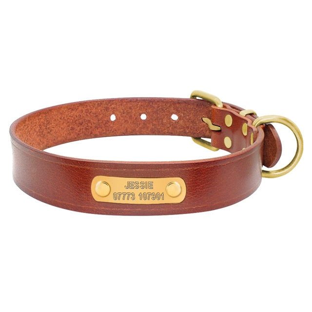 Dog Collar Genuine Leather Free Engraving Brown Dog Nation