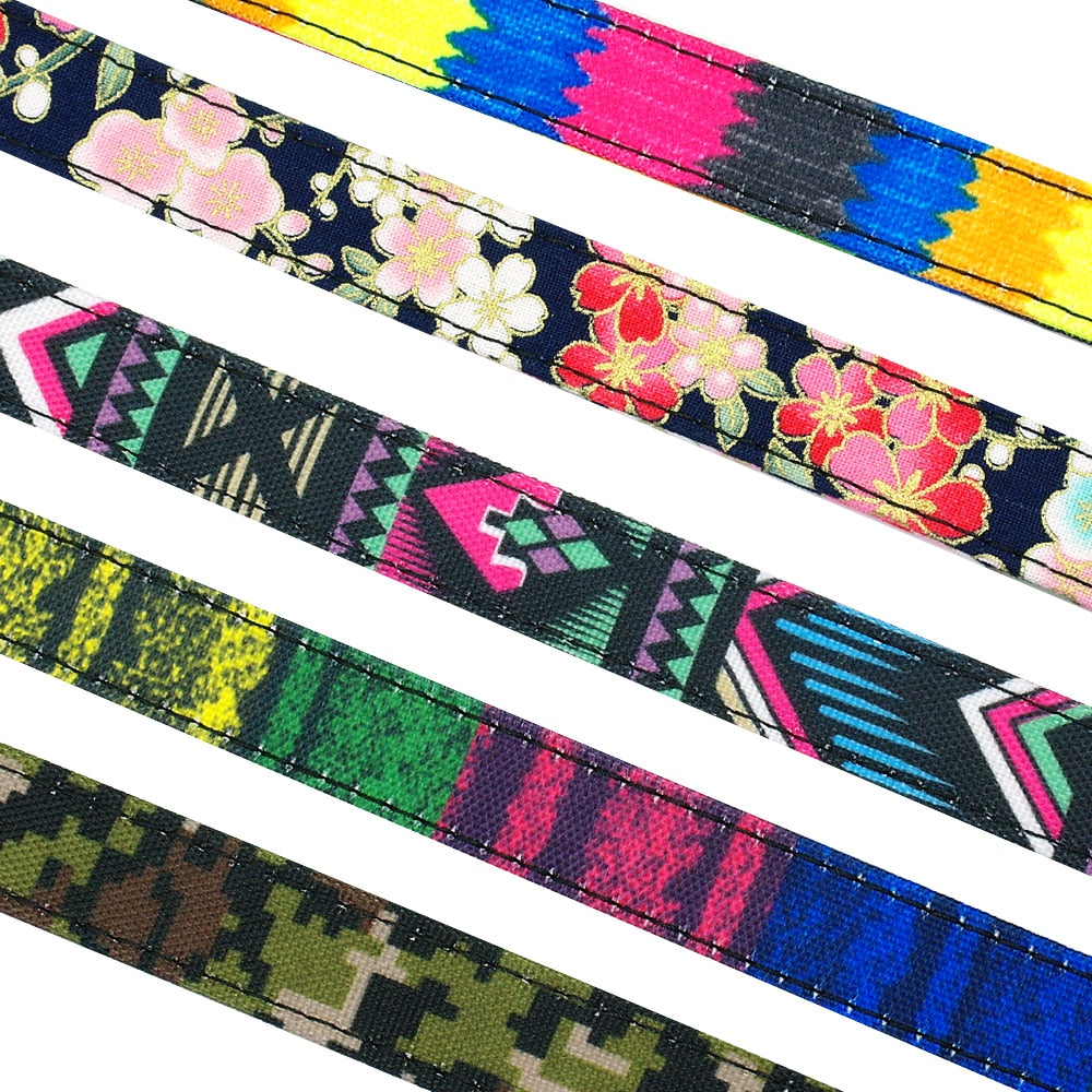 Astro Colourful Stylish Dog Leash Dog Nation