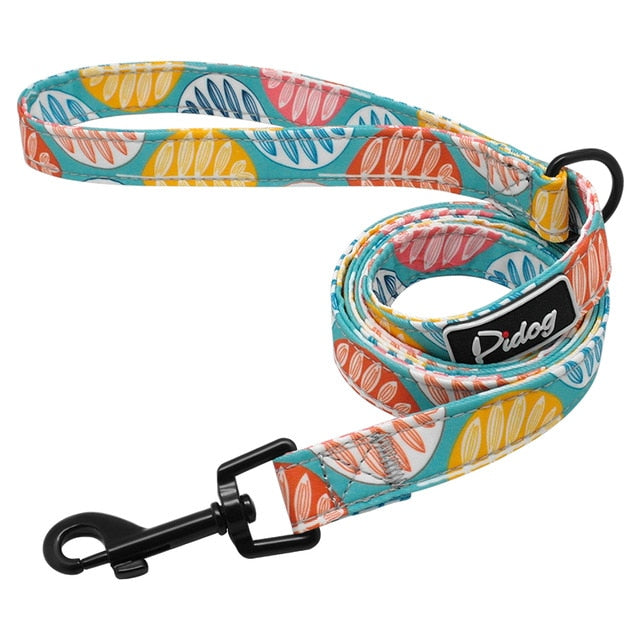 Designer Nylon Dog Leash 120cm Orange Dog Nation