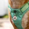Dog ID Tags I Love Mom