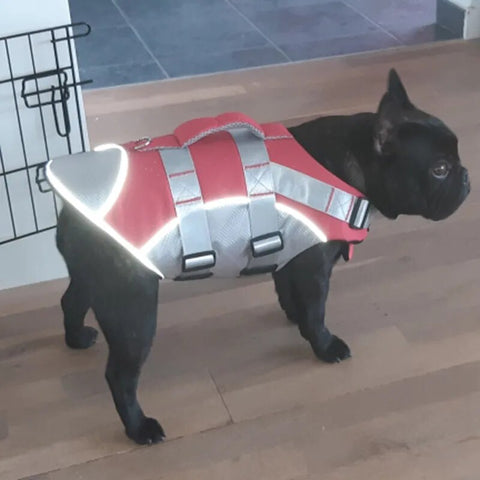 Life Jacket for Small & Medium Size Dogs