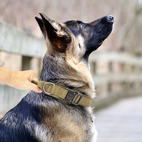 Wide Tactical Dog Collar With Handle For Medium & Large Dogs
