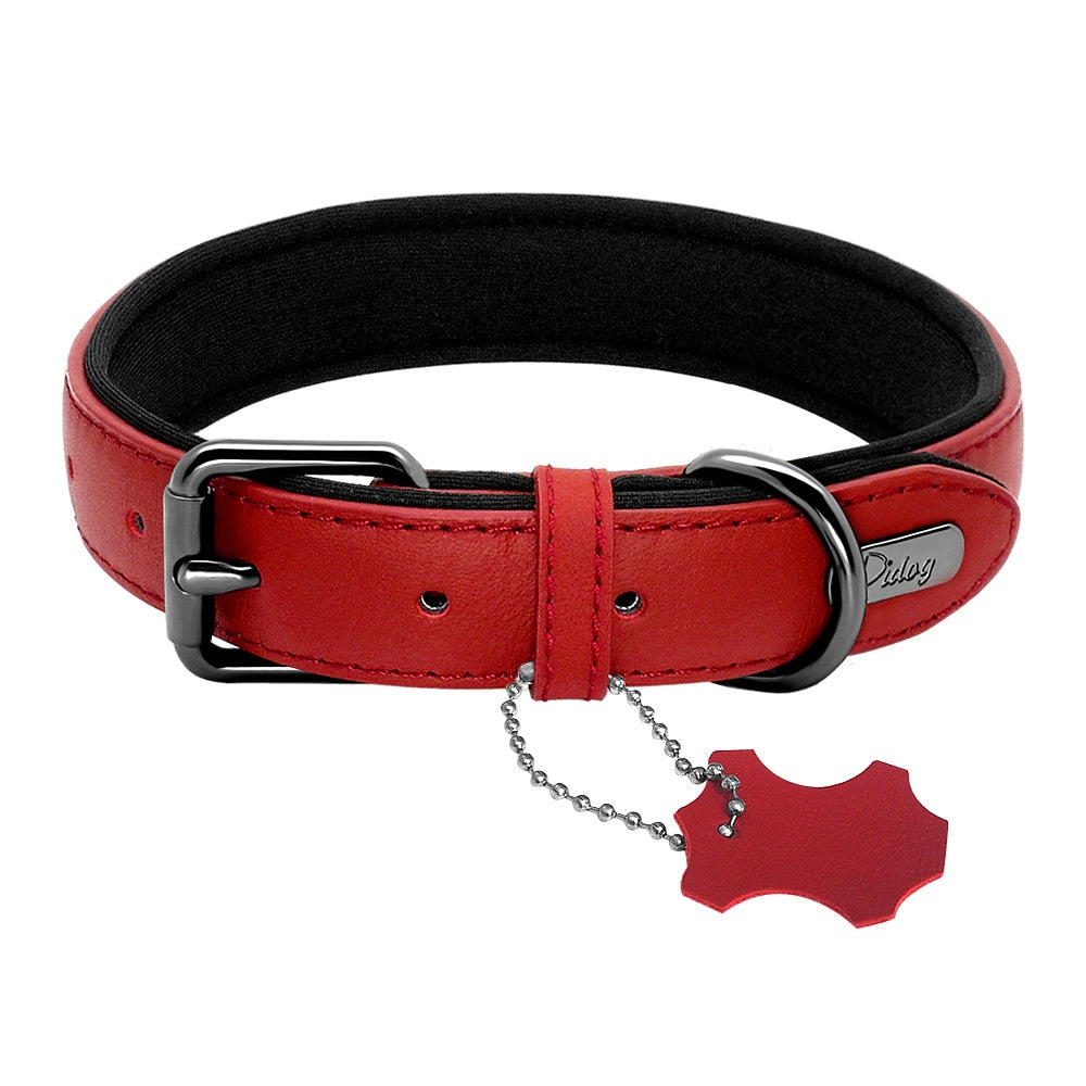 Comet Genuine Leather Dog Collar Neoprene Padded Red Dog Nation