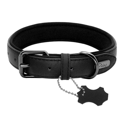 Comet Genuine Leather Dog Collar Neoprene Padded Black Dog Nation