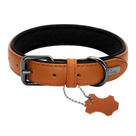 Comet Genuine Leather Dog Collar Neoprene Padded Brown Dog Nation