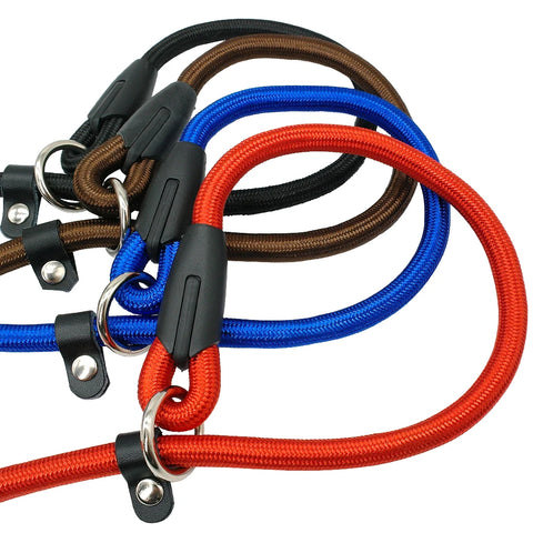 Slip Lead for Dogs of All Sizes