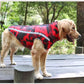 Windproof Waterproof Dog Jacket