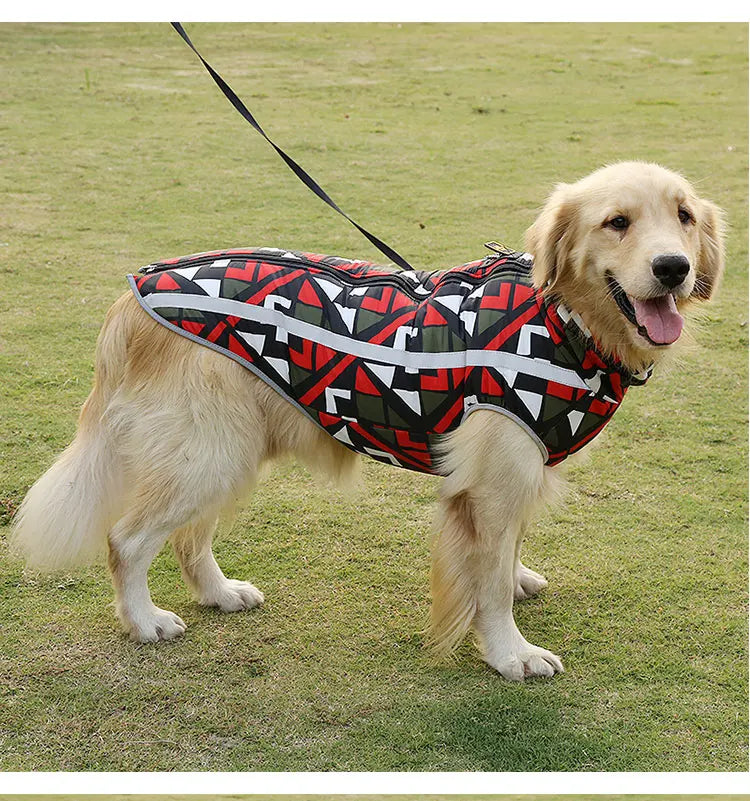 Windproof Waterproof Dog Jacket