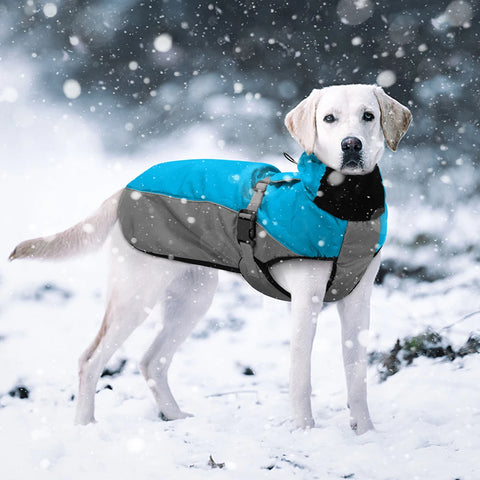 StormGuard Waterproof Reflective Dog Coat