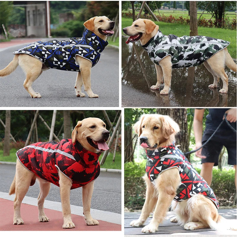 Windproof Waterproof Dog Jacket
