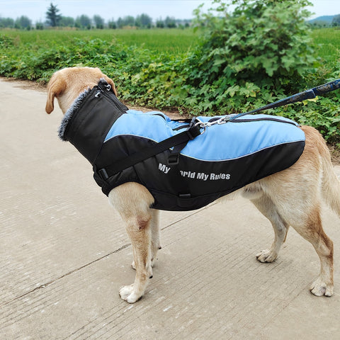 Warm Winter Dog Jacket Long Fleece Neck Dog Nation