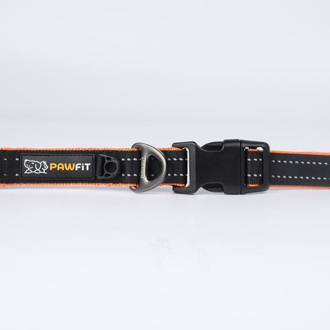 Pawfit Collar