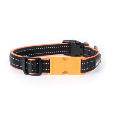 Pawfit Collar