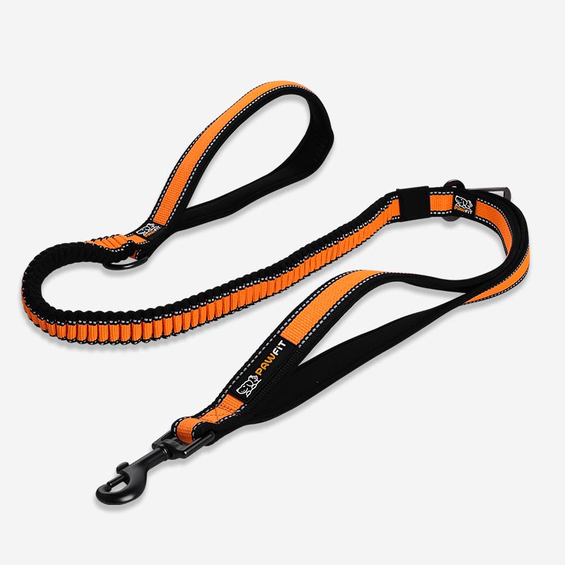 Pawfit Dog Leash