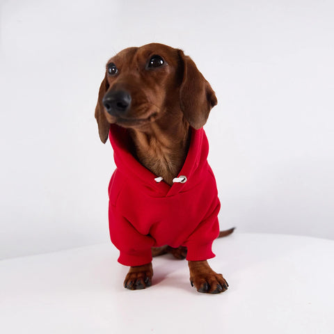 Fleece Hoodie for Dachshunds & Small Dogs