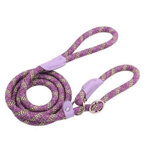 Purple dog leash with pink handle and gold accents, coiled on a white background.
