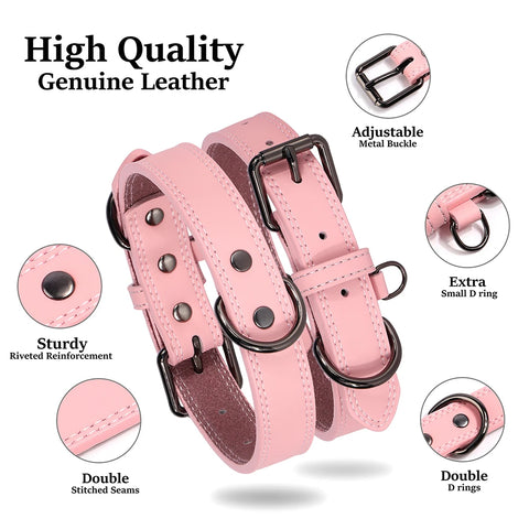 Taurus Genuine Leather Dog Collar