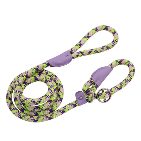 Green and purple patterned dog leash with purple handle on a white background