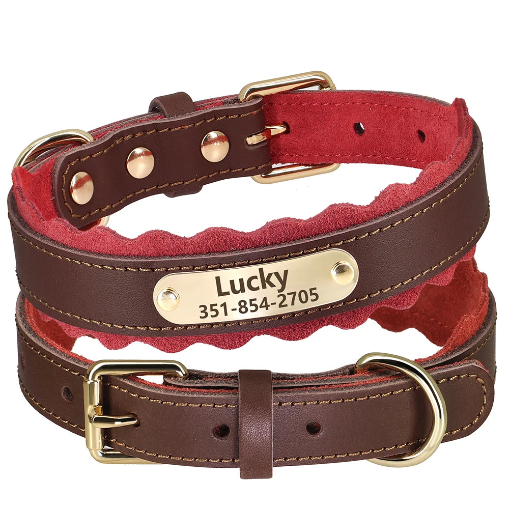 Triton Personalised Dog Collar Genuine Leather