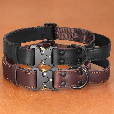 Draco Genuine Leather Dog Collar With Handle Dog Nation