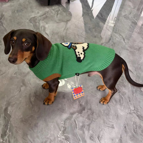 Cartoon Hand-Knitted Sweater for Dachshunds & Small Dogs