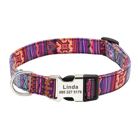 Lynx Personalised Dog Collar Laser Engraved Orange Dog Nation