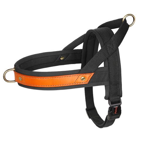 TailWag Freedom Dog Harness No Pull Soft Padded