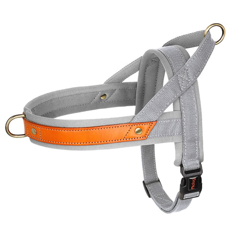 TailWag Freedom Dog Harness No Pull Soft Padded