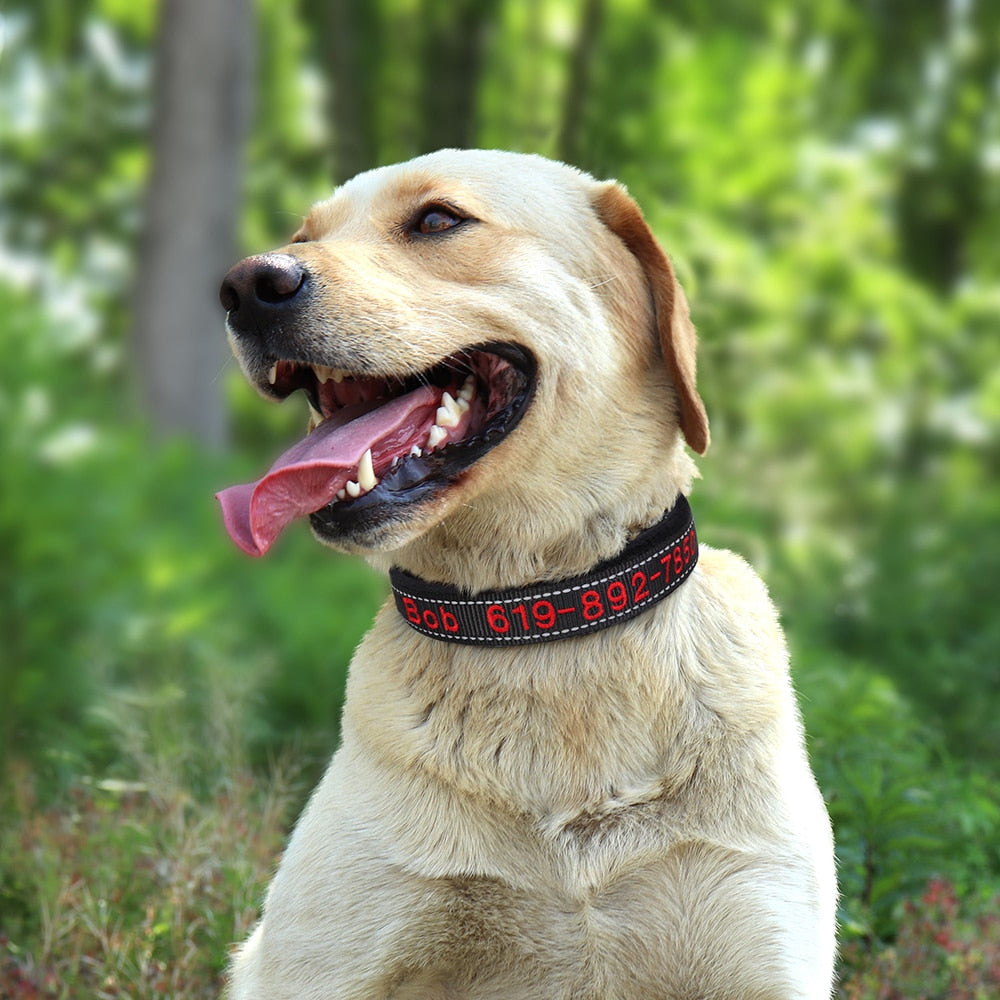 Embroidered Dog Collar Soft Padded Reflective Dog Nation