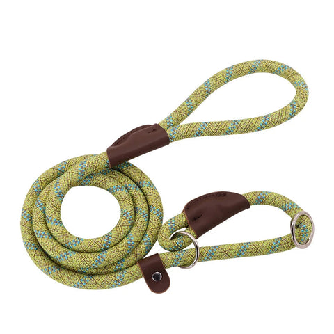 Green and brown braided leash with brown leather loops and clip, length 180cm, on a white background.