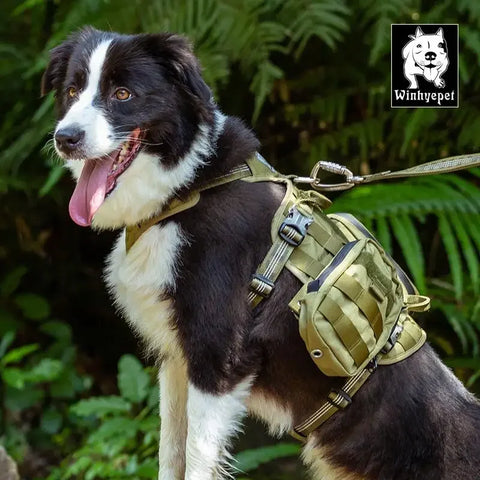 High Performance Dog Harness Tactical Military Training v2